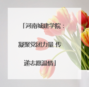 河南城建学院：凝聚党团力量 传递志愿温情