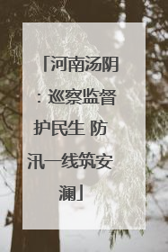 河南汤阴：巡察监督护民生 防汛一线筑安澜