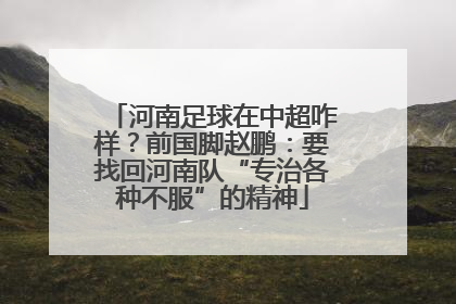 河南足球在中超咋样？前国脚赵鹏：要找回河南队“专治各种不服”的精神