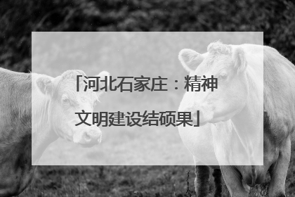 河北石家庄：精神文明建设结硕果
