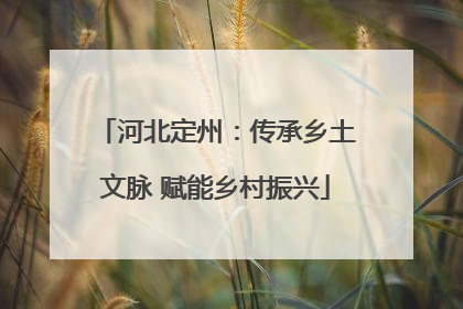 河北定州：传承乡土文脉 赋能乡村振兴