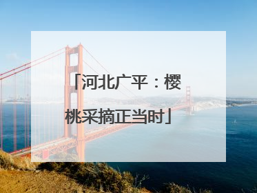 河北广平：樱桃采摘正当时