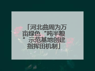 河北曲周为万亩绿色“吨半粮”示范基地创建指挥田机制