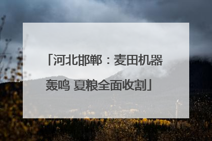 河北邯郸：麦田机器轰鸣 夏粮全面收割