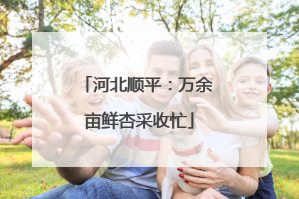河北顺平：万余亩鲜杏采收忙