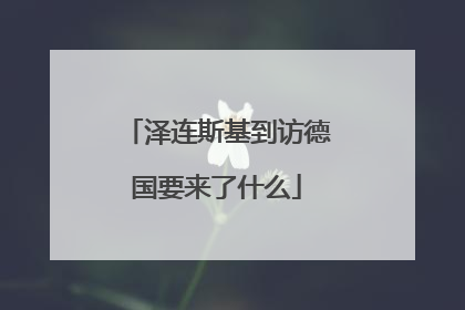 泽连斯基到访德国要来了什么