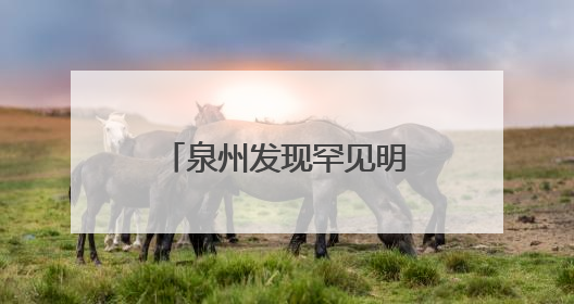 泉州发现罕见明代早期木构建筑