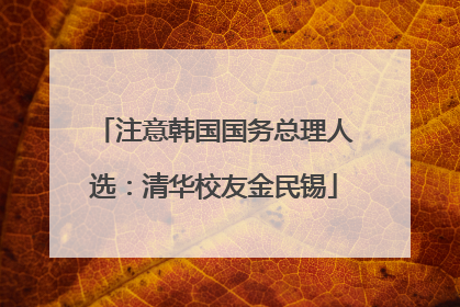 注意韩国国务总理人选：清华校友金民锡