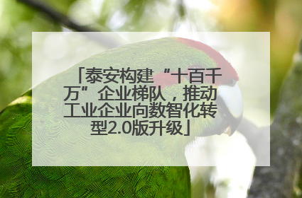 泰安构建“十百千万”企业梯队，推动工业企业向数智化转型2.0版升级