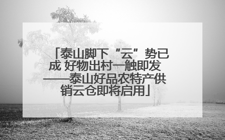 泰山脚下“云”势已成 好物出村一触即发——泰山好品农特产供销云仓即将启用