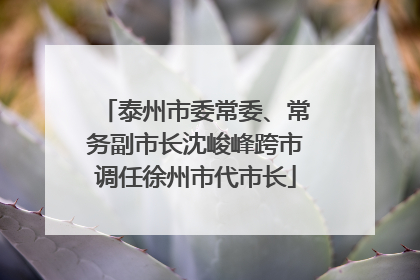 泰州市委常委、常务副市长沈峻峰跨市调任徐州市代市长