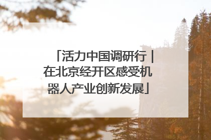 活力中国调研行｜在北京经开区感受机器人产业创新发展