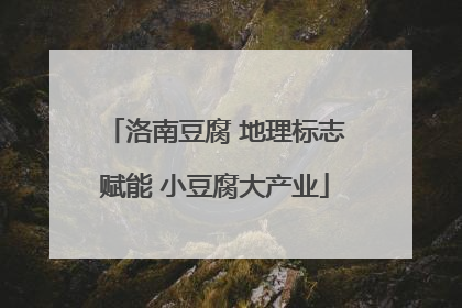 洛南豆腐 地理标志赋能 小豆腐大产业