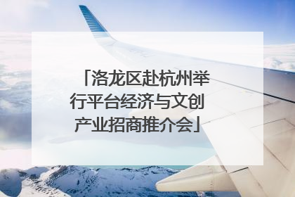 洛龙区赴杭州举行平台经济与文创产业招商推介会