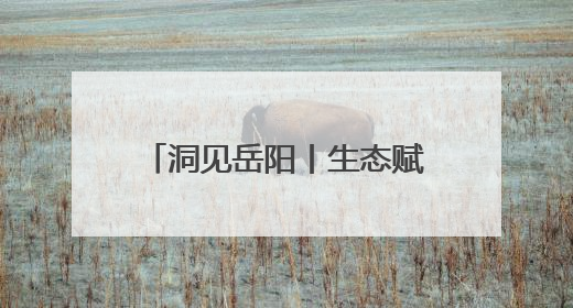 洞见岳阳丨生态赋能 文化铸魂 国际出圈——岳阳文旅何以吸引世界目光？