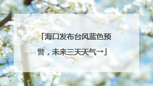 海口发布台风蓝色预警，未来三天天气→