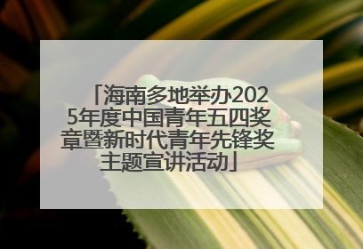 海南多地举办2025年度中国青年五四奖章暨新时代青年先锋奖主题宣讲活动