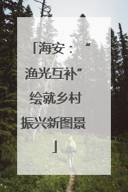 海安：“渔光互补” 绘就乡村振兴新图景