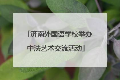 济南外国语学校举办中法艺术交流活动