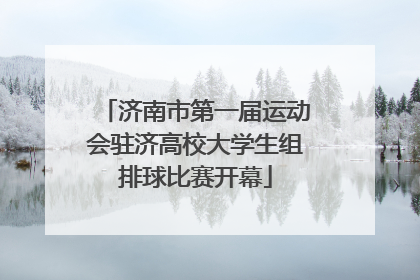 济南市第一届运动会驻济高校大学生组排球比赛开幕