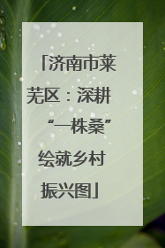 济南市莱芜区：深耕“一株桑” 绘就乡村振兴图