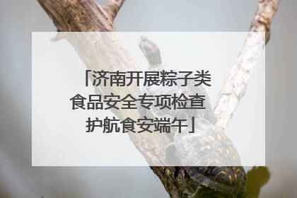 济南开展粽子类食品安全专项检查 护航食安端午