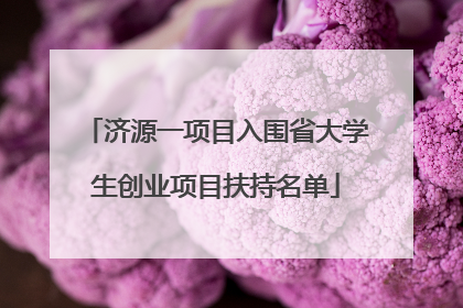 济源一项目入围省大学生创业项目扶持名单