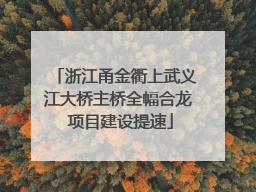 浙江甬金衢上武义江大桥主桥全幅合龙 项目建设提速