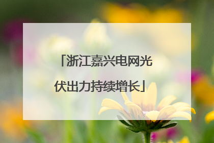 浙江嘉兴电网光伏出力持续增长