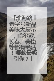 淮海路上老字号新品美味大展示，哈尔滨、长春、美臣等都有绝活！哪款最吸引你？