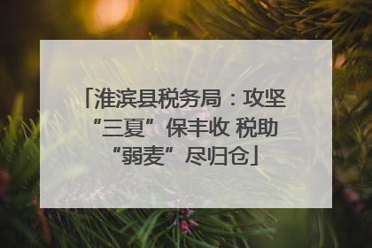 淮滨县税务局：攻坚“三夏”保丰收 税助“弱麦”尽归仓