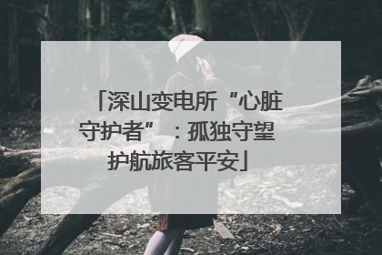 深山变电所“心脏守护者”：孤独守望护航旅客平安