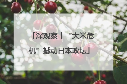 深观察丨“大米危机”撼动日本政坛