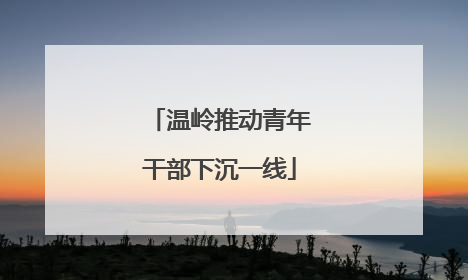 温岭推动青年干部下沉一线