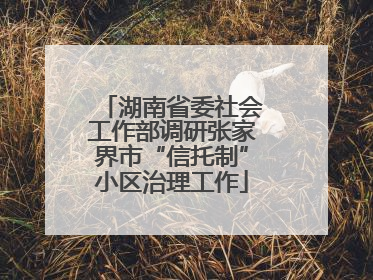 湖南省委社会工作部调研张家界市“信托制”小区治理工作