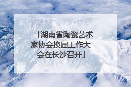 湖南省陶瓷艺术家协会换届工作大会在长沙召开