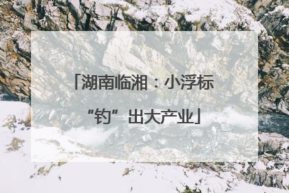 湖南临湘：小浮标“钓”出大产业