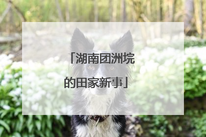 湖南团洲垸的田家新事