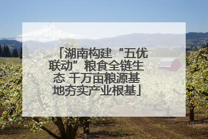 湖南构建“五优联动”粮食全链生态 千万亩粮源基地夯实产业根基