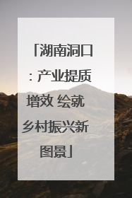 湖南洞口：产业提质增效 绘就乡村振兴新图景