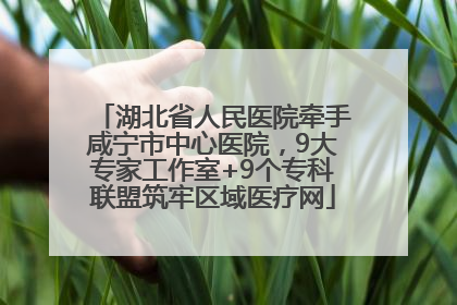 湖北省人民医院牵手咸宁市中心医院，9大专家工作室+9个专科联盟筑牢区域医疗网