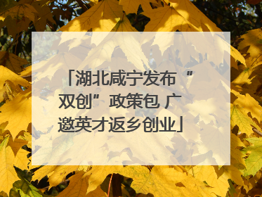 湖北咸宁发布“双创”政策包 广邀英才返乡创业