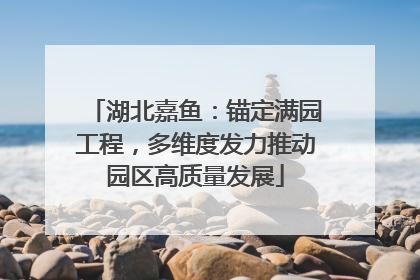 湖北嘉鱼：锚定满园工程，多维度发力推动园区高质量发展