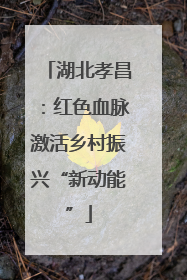 湖北孝昌：红色血脉激活乡村振兴“新动能”