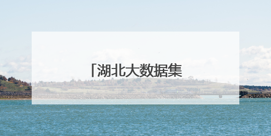 湖北大数据集团正式成立