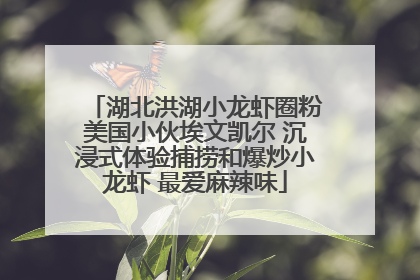 湖北洪湖小龙虾圈粉美国小伙埃文凯尔 沉浸式体验捕捞和爆炒小龙虾 最爱麻辣味