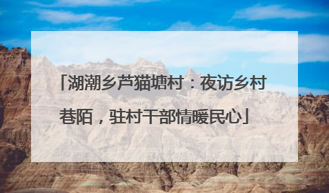 湖潮乡芦猫塘村：夜访乡村巷陌，驻村干部情暖民心