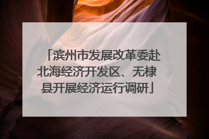 滨州市发展改革委赴北海经济开发区、无棣县开展经济运行调研