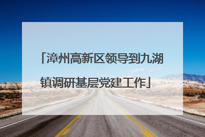 漳州高新区领导到九湖镇调研基层党建工作