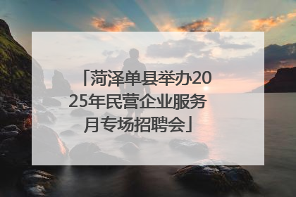 菏泽单县举办2025年民营企业服务月专场招聘会